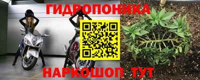 марихуана Камышлов